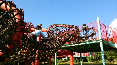 c0117621_23451652.jpg