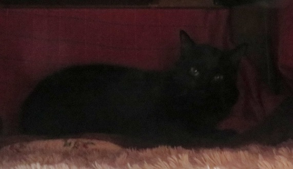 c0280322_14110953.jpg