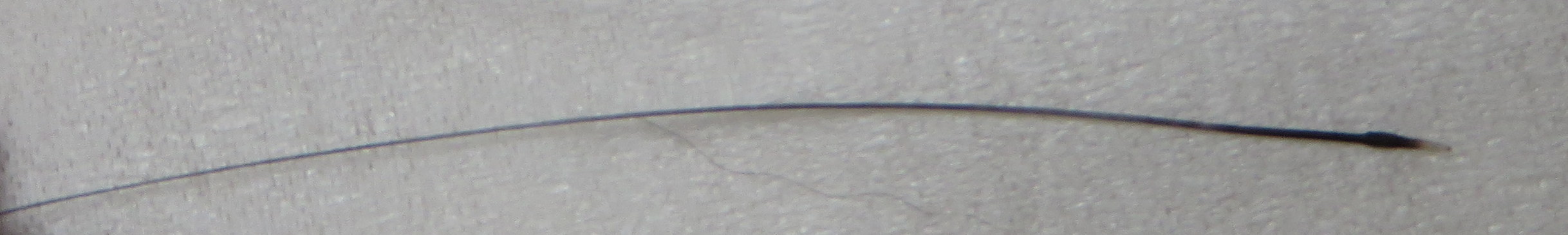 c0280322_14410627.jpg
