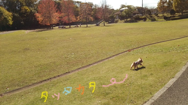f0002833_0404334.jpg