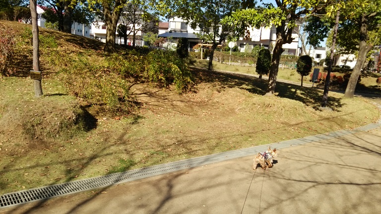 f0002833_0433791.jpg