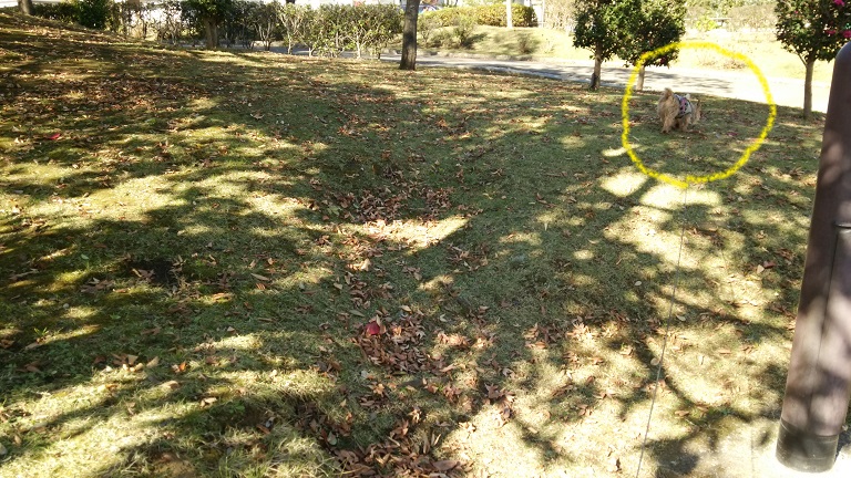 f0002833_0441760.jpg