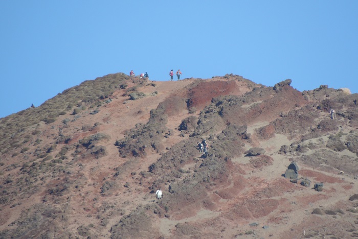 b0288942_22111698.jpg