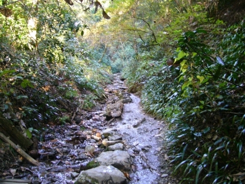 d0014748_18214051.jpg