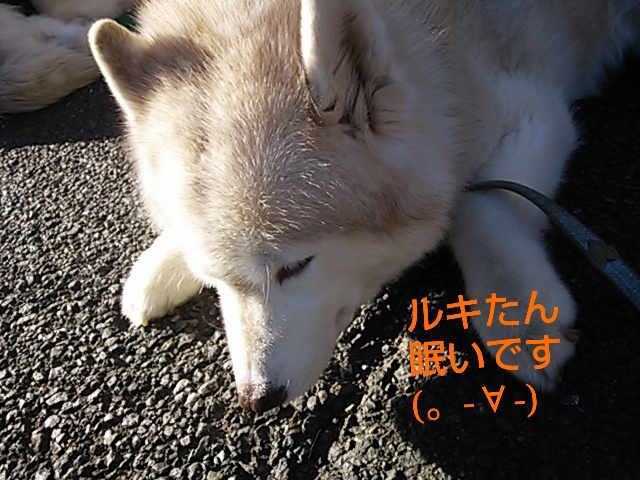 e0121548_14374766.jpg