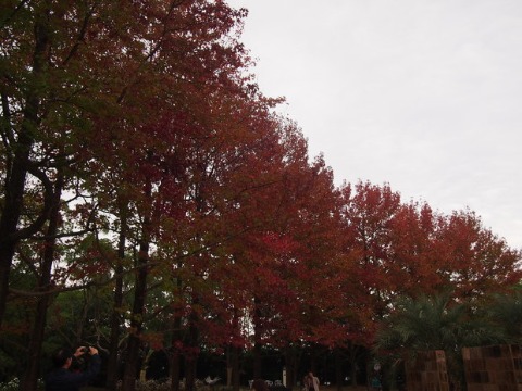 b0268454_2244167.jpg