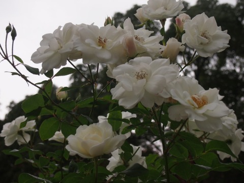 b0268454_2321843.jpg