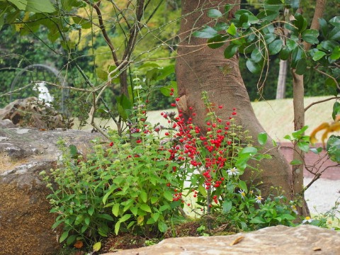 b0268454_2324246.jpg