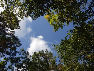 e0187064_18222988.jpg