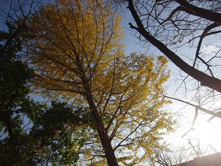 e0187064_18345990.jpg