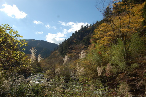 b0158170_05152779.jpg