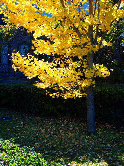c0122670_16144655.jpg