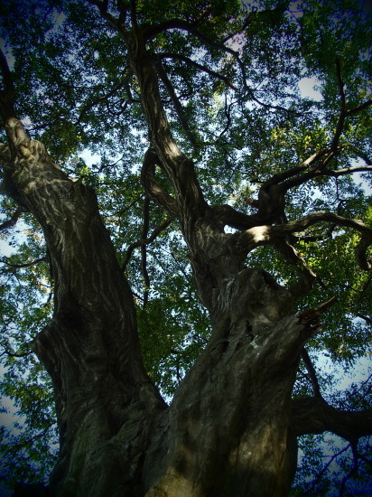 c0122670_16340340.jpg