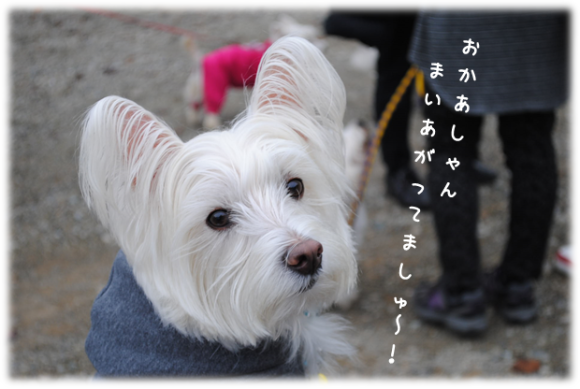b0242873_19401040.png