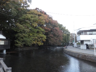 d0109373_2012266.jpg