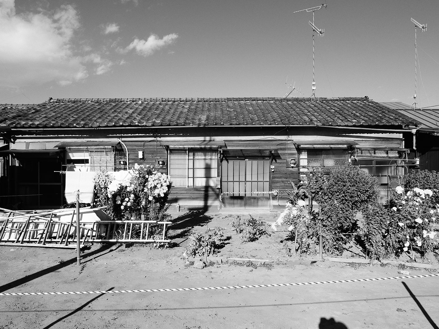 f0121181_23513293.jpg