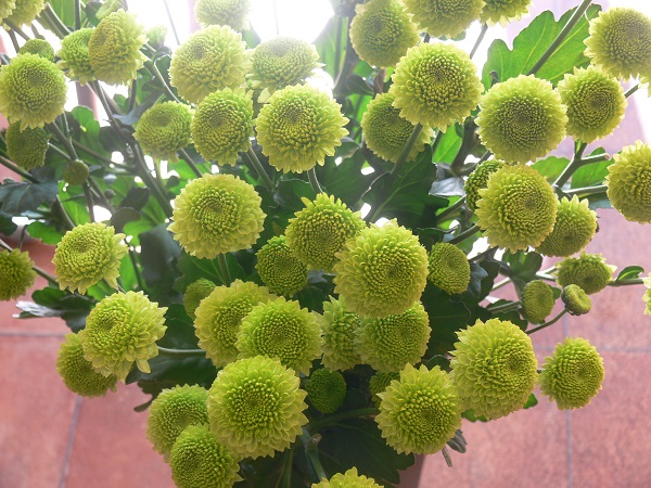 e0140986_11135240.jpg