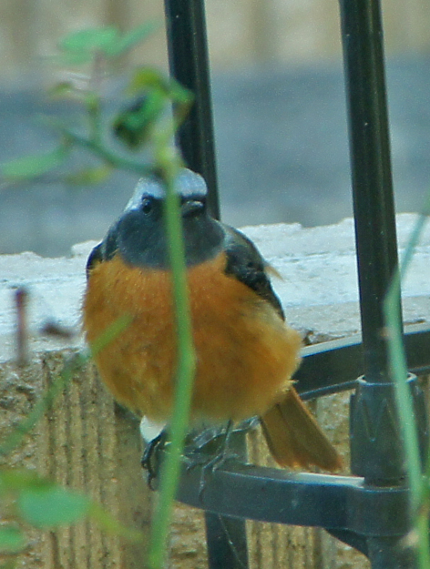 c0139591_1433651.jpg