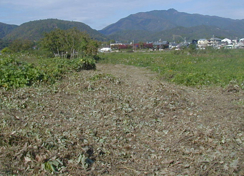 d0053294_0424162.jpg