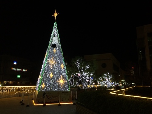 f0201297_23262733.jpg