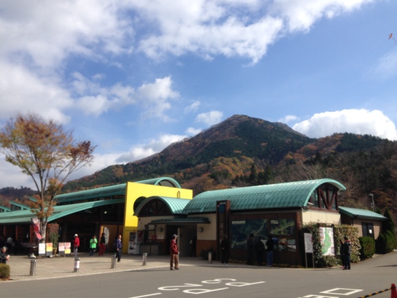 d0163003_17535316.jpg