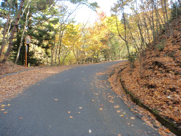 c0266004_18151545.jpg