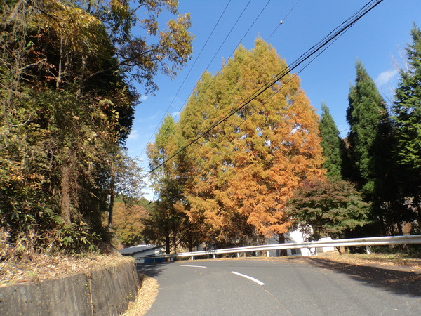c0266004_1819166.jpg