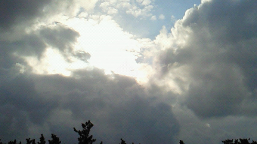 d0149105_17103878.jpg