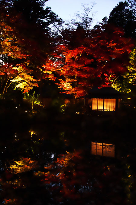 a0263109_12565511.jpg