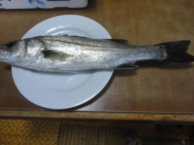 f0231709_1437239.jpg