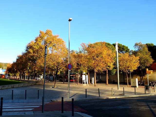 b0064411_00545123.jpg