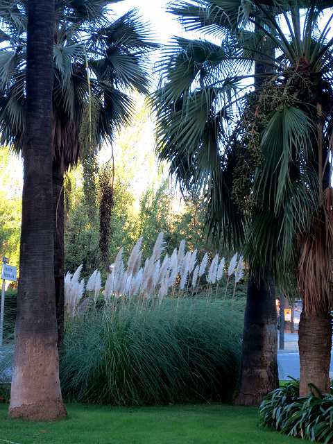 b0064411_00545238.jpg