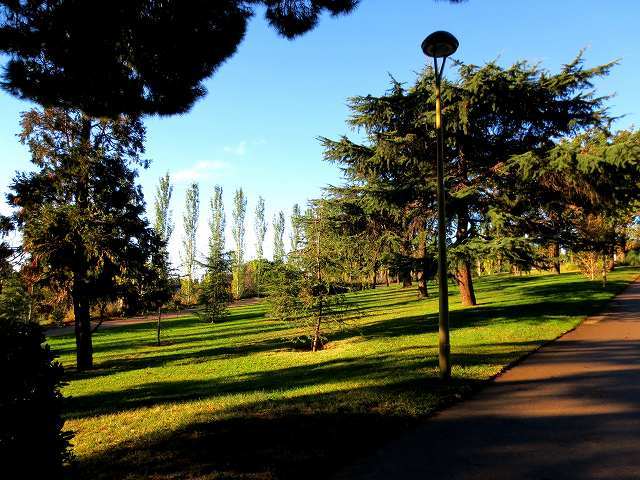 b0064411_00594091.jpg