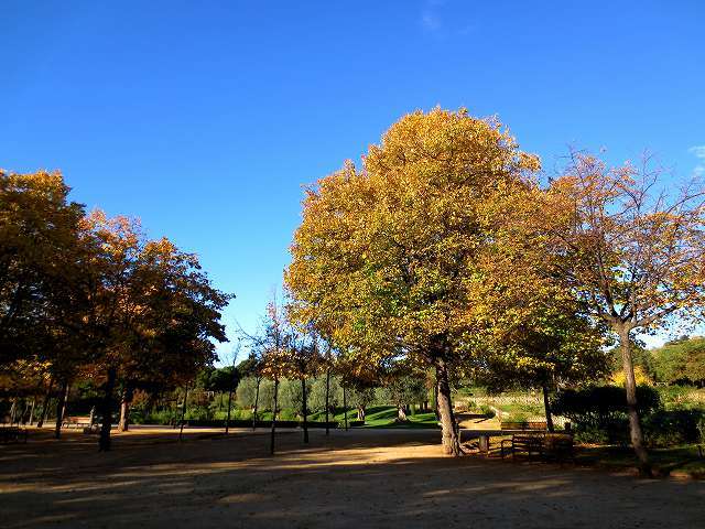 b0064411_01062650.jpg