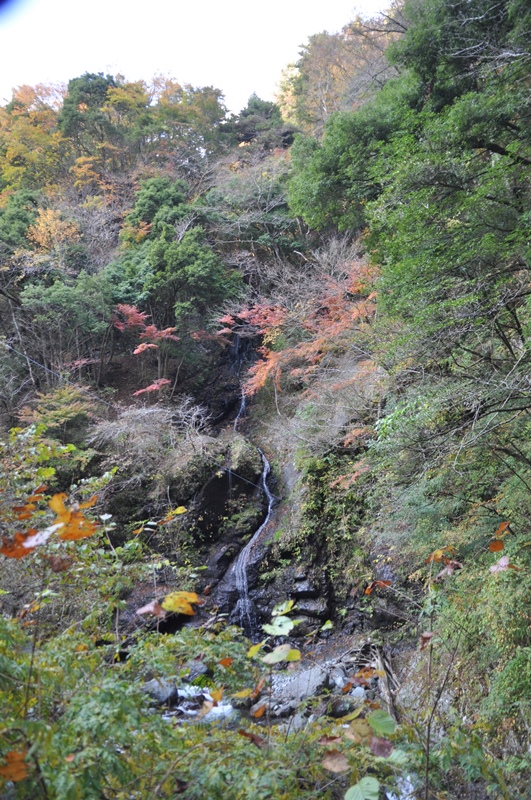 c0143411_2251197.jpg