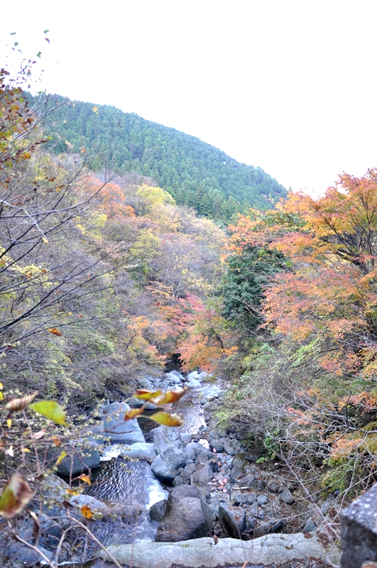c0143411_225168.jpg