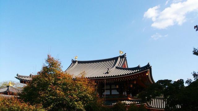 c0317717_13271053.jpg