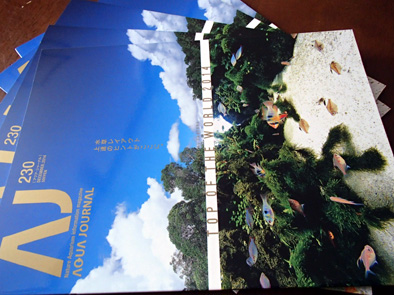d0212519_2234330.jpg
