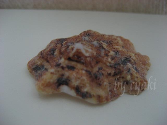 a0078020_1728551.jpg