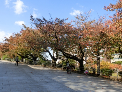 a0105023_2314477.jpg