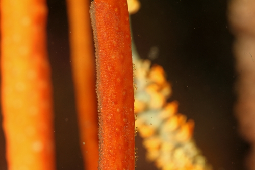 f0206424_0102146.jpg