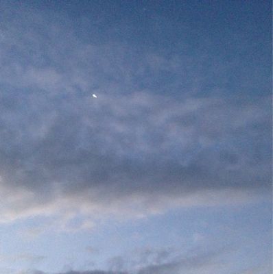 b0203925_858583.jpg