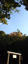 c0188928_15574359.jpg
