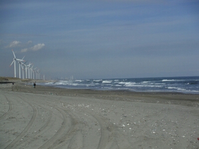 a0284729_1612367.jpg