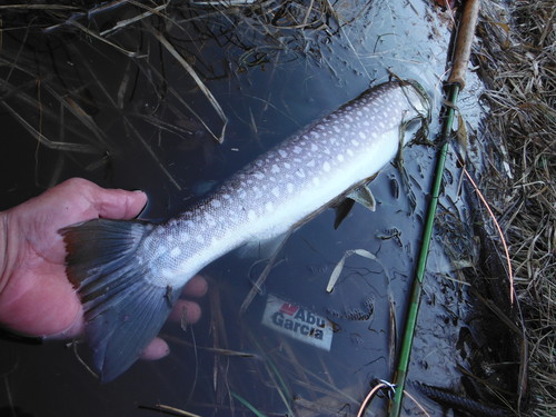 e0262235_2015261.jpg