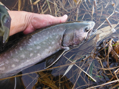 e0262235_20533.jpg