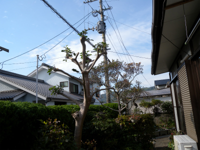 e0272335_17302418.jpg