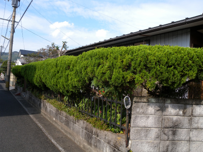 e0272335_17323146.jpg
