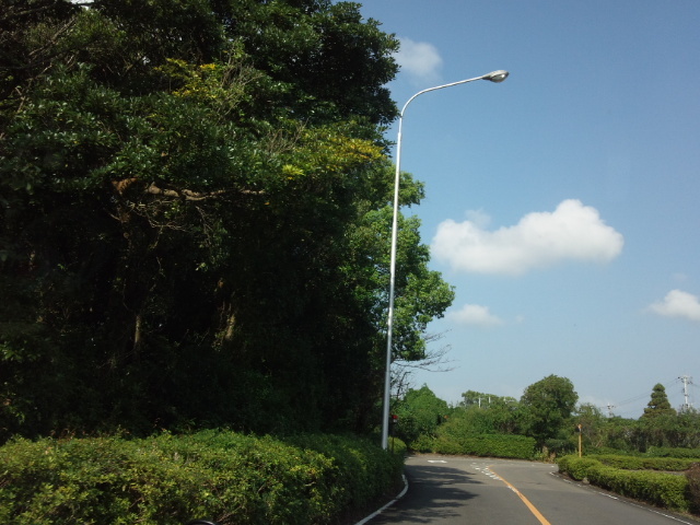 d0244839_23430458.jpg