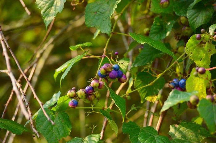 b0288942_17523769.jpg